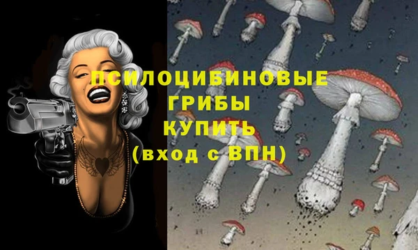 кокс Алексин