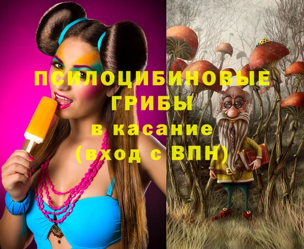 кокс Алексин