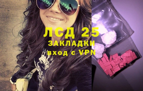 эйфоретик Алзамай